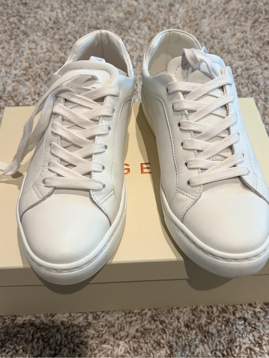 Women's Minimalist White Leather Lace-Up Sneakers